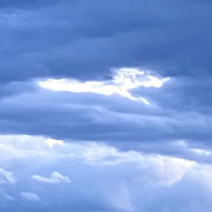 Meet your Posher, Bonn